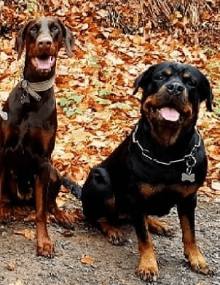 Lona & Leyla