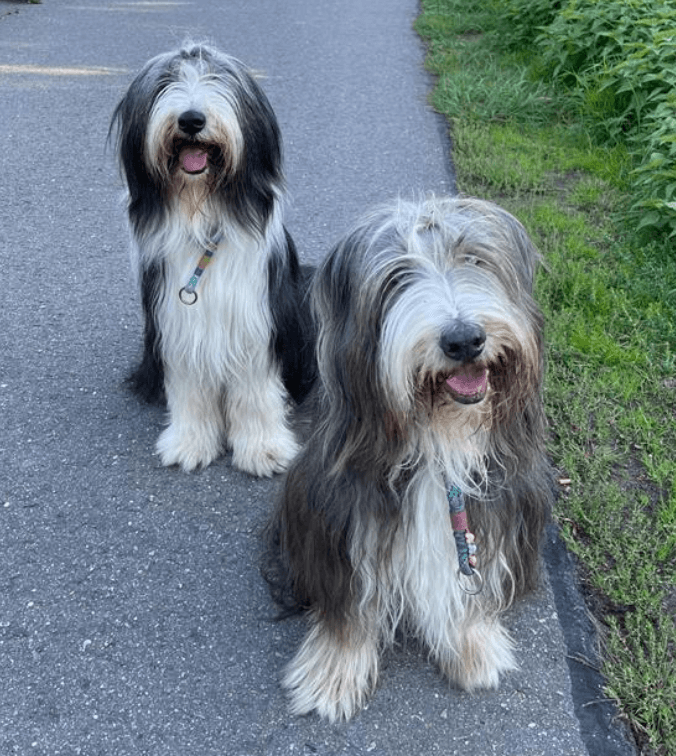 Ozzie & Pauli